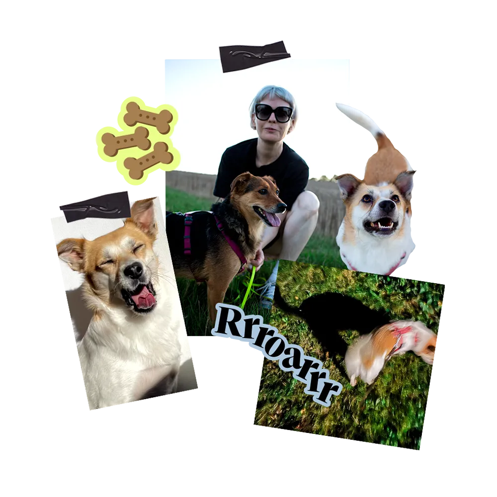 Hundetrainerin begleitet unterschiedliche Hunde im Alltag bei Begegnungen, Bewegung und Training