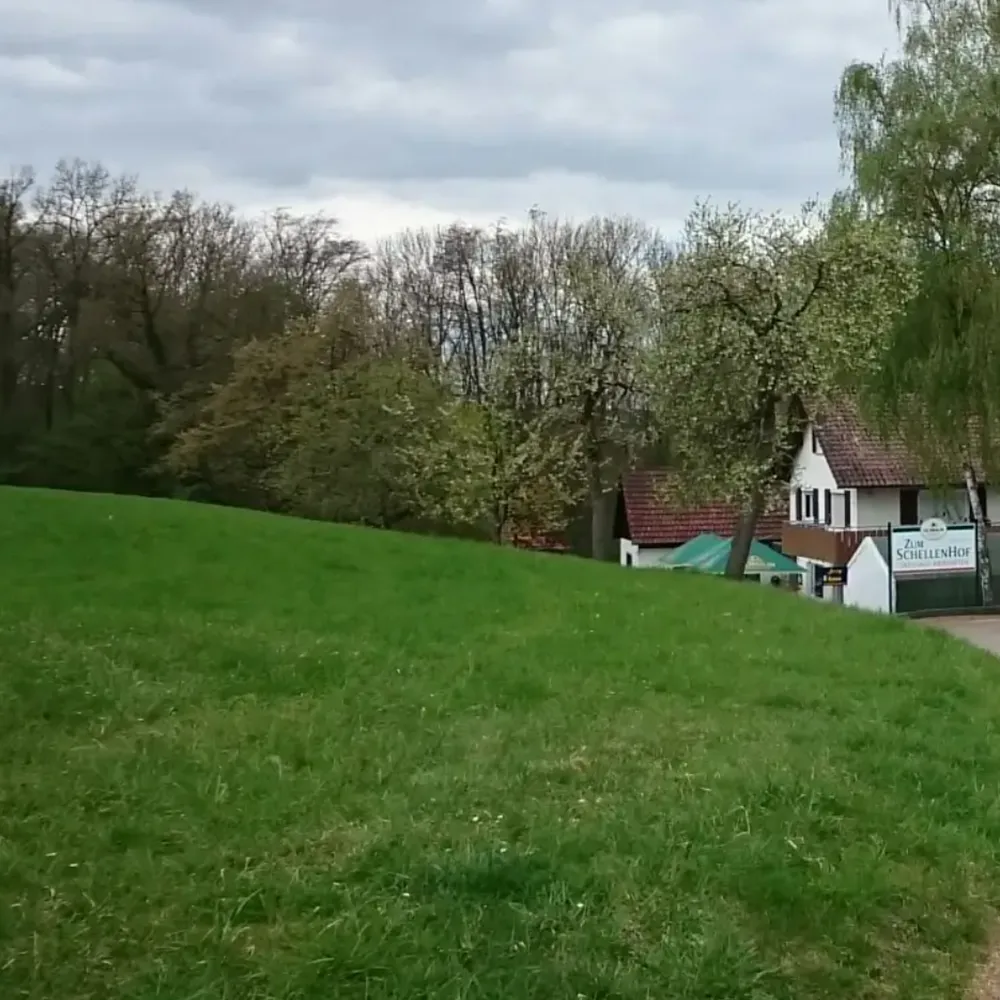 Hundetraining am Schellenhof in Bietigheim-Bissingen